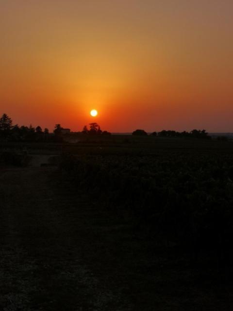 L Escale Des Vignes Gite Proche Saint Emilion Chateau Beynat Villa Eksteriør billede