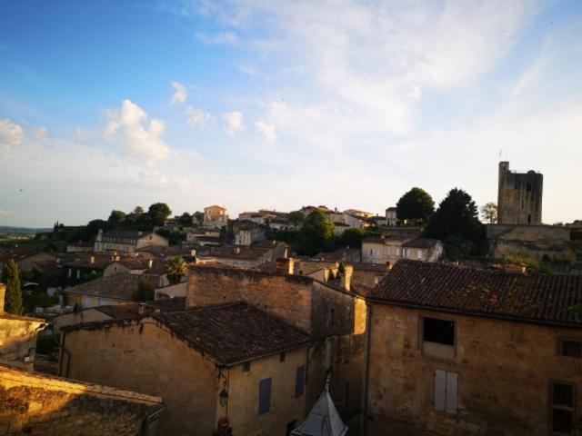 L Escale Des Vignes Gite Proche Saint Emilion Chateau Beynat Villa Eksteriør billede